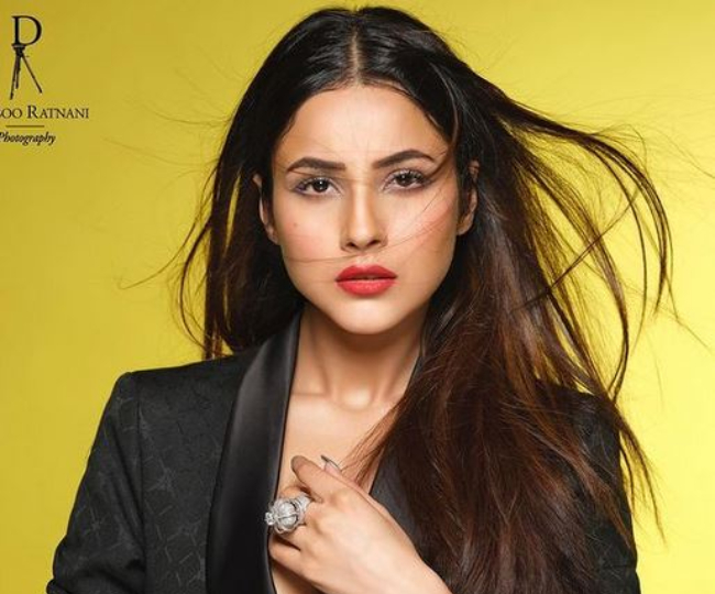 होश उड़ा देगा शहनाज गिल का लेटेस्ट फोटोशूट, अलग अंदाज में आईं नजर, देखें तस्वीरें  